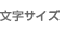 文字サイズ