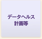 データヘルス計画